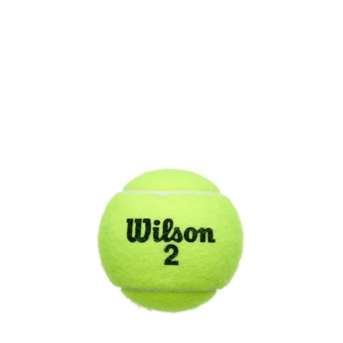 WILSON Championship Tennis Balls - size: Single Can (3 Balls), style: Extra Duty
