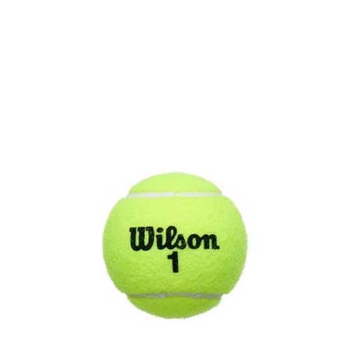 WILSON Championship Tennis Balls - size: Single Can (4 Balls), style: Extra Duty