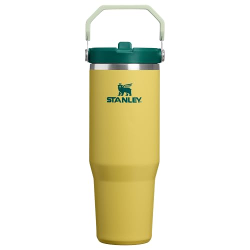 STANLEY IceFlow 2.0 Flip Straw Tumbler with Handle 30 oz | Twist On Lid and Flip Up Straw | Leak Resistant Water Bottle | Insulated Stainless Steel | BPA-Free | Daffodil Emerald - color: Daffodil Emerald, size: 30 Ounces