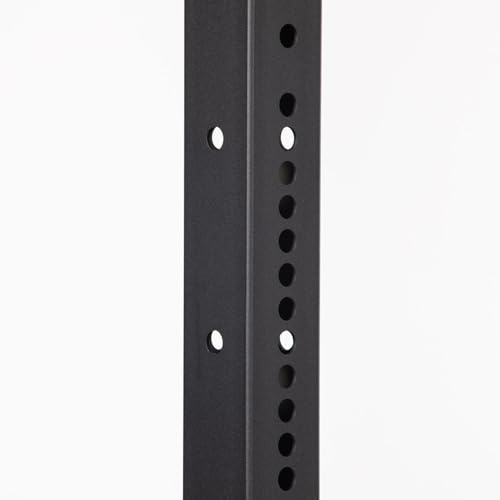 Titan Fitness X-3 Series Space Savings RACKS-80-in