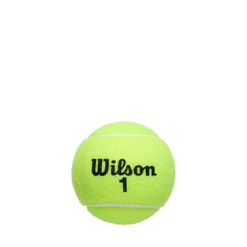 WILSON Championship Tennis Balls - size: Single Can (3 Balls), style: Regular Duty