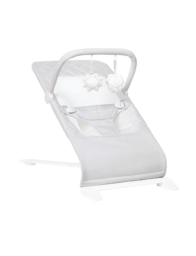 Baby Delight Alpine Deluxe Portable Bouncer | Infant | 0 – 6 Months | Driftwood Grey - color: Driftwood Grey