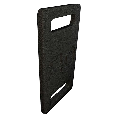 Fitvids Cast Iron Plate, Weighted Plate for Swings, Squat, Strength Training, Fitness Workout, and Home Exercises