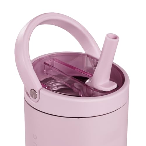 HydroJug Sport 14 oz Insulated Kids Water Bottle with Straw, Sweet Pea - color: Sweet Pea, size: 14oz