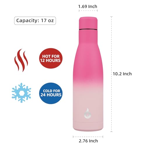 BJPKPK Insulated Water Bottle 17oz Stainless Steel Water Bottles Disawasher Safe Reusable Metal Thermal Keep Cold and Hot,Cherry - color: Cherry, size: 17 Ounces