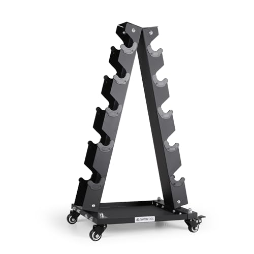 LIONSCOOL Premium Solid Steel Dumbbell Rack Stand Only, A-Frame Portable Weight Storage Organizer with Optional Tray and Wheels, Perfect for Home Gym Fitness Storage (200LBS/300LBS/700LBS Weight Capacity Available) - style: Medium, 300 LBS