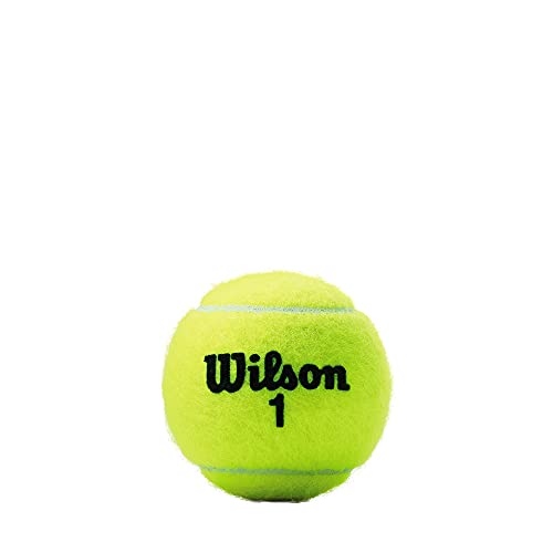 WILSON Championship Tennis Balls - size: 4 Can Pack (12 Balls), style: Regular Duty