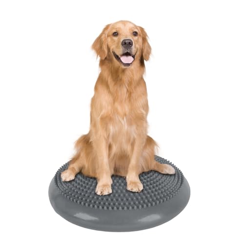 Dog Balance Disc 14", Dog Balance Equipment with Cushion and Pump, Pet Training Platform for Pet Rehabilitation Training, Strength Train Stability, Suitable for Small and Medium-Sized Pets - color: Gren