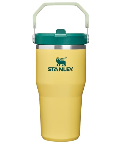 STANLEY IceFlow 2.0 Flip Straw Tumbler with Handle 20 oz | Twist On Lid and Flip Up Straw | Leak Resistant Water Bottle | Insulated Stainless Steel | BPA-Free | Daffodil Emerald - color: Daffodil Emerald, size: 20 Ounces