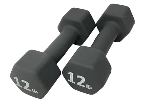 Neoprene Coated Dumbbell Hand Weight Set - style: 12-Pound, Set of 2