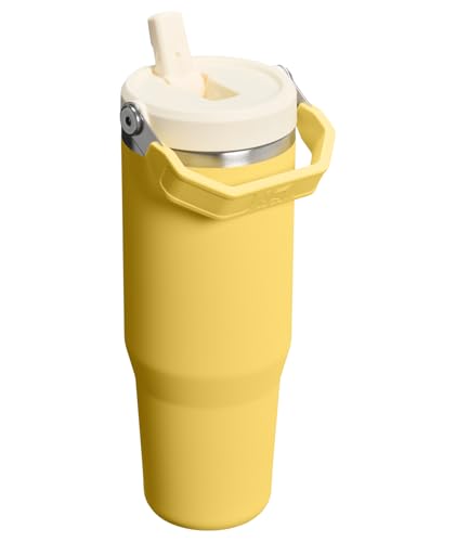 STANLEY IceFlow 2.0 Flip Straw Tumbler with Handle 30 oz | Twist On Lid and Flip Up Straw | Leakproof Water Bottle | Insulated Stainless Steel | BPA-Free | Daffodil - color: Daffodil, size: 30 Ounces