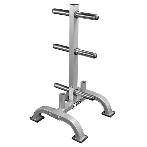 Valor Fitness Weight Plate Rack with Barbell Holders – Heavy-Duty Steel Storage Tree with 6 Pegs and 2 Vertical Bar Sleeves for Standard and Olympic Plates – 800 lb Capacity for Home & Garage Gyms - color: C: BH-7 Olympic Plate Storage Rack