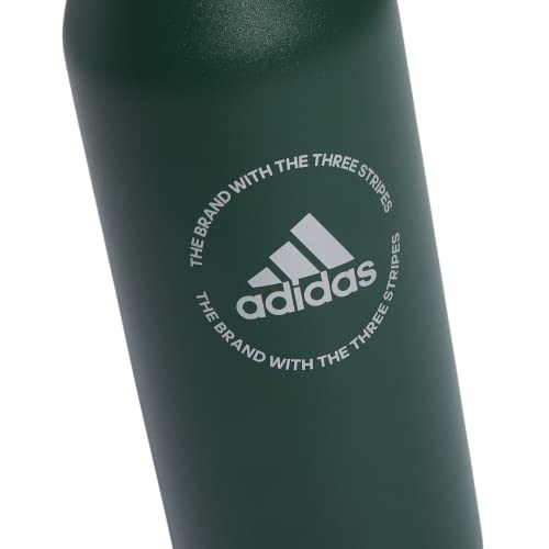 adidas Stainless Steel Metal Water Bottle 34 oz (1L) Screw Cap - color: Green Oxide/Onix Grey/Silver Metallic