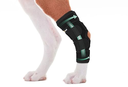 Dog Rear Leg Brace for Hock Joint, Compression Wrap Strong Support Back Leg for Canine Torn ACL & CCL, Injury and Sprain Protection, Keeps Stability for Wounds Care and Arthritis (XS) - size: XS-Right