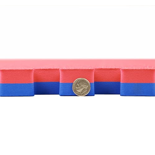 FlooringInc's 1" Thick Foam Tiles, 3'x3' or 2'x2' Reversable Interlocking Tiles, Ideal Yoga Mat, Gymnastics Mat, Workout Mat for MMA and Jiu Jitsu Training - color: Blue/Red, size: 4 - 2'x2' Tiles (16 Sq Ft)