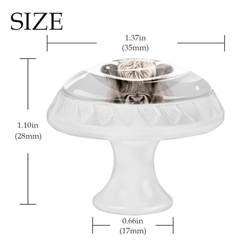 4 Pack White Cabinet Knobs, Highland Cow Drawer Handles for Cabinets, Dresser, Cupboard, Bathroom, Bedroom, Kitchen Hardware Closet Door Knob - color: Highland Cow