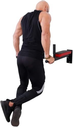 Wall-Mounted Dip Station, Heavy Duty Exercise Bar with 4 Padded Handles