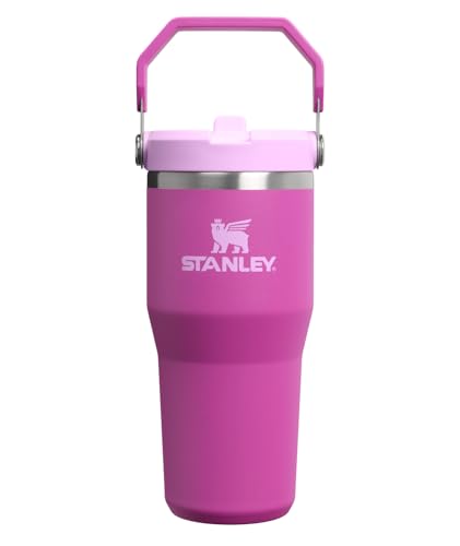 STANLEY IceFlow 2.0 Flip Straw Tumbler with Handle 14 oz | Twist On Lid and Flip Up Straw | Leakproof Water Bottle | Insulated Stainless Steel | BPA-Free | Dark Blossom - color: Dark Blossom, size: 14 Ounces