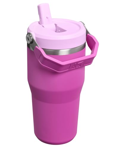 STANLEY IceFlow 2.0 Flip Straw Tumbler with Handle 20 oz | Twist On Lid and Flip Up Straw | Leakproof Water Bottle | Insulated Stainless Steel | BPA-Free | Dark Blossom - color: Dark Blossom, size: 20 Ounces