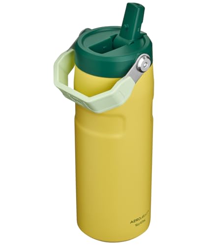 STANLEY IceFlow Flip Straw 2.0 Water Bottle 16 oz | Built-In Straw with Larger Opening | Lightweight and Leak Resistant | Insulated Stainless Steel | BPA-Free | Daffodil Emerald - color: Daffodil Emerald, size: 16 Ounces