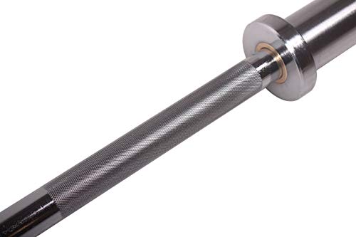POWERT Olympic Barbell 47" EZ Curl/Straight Olympic Bar Weight Lifting for Loading 2 Inch Weight Plates-47 Inch, 400 lbs Capacity - style: Straight Bar