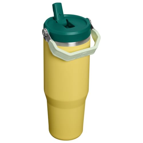 STANLEY IceFlow 2.0 Flip Straw Tumbler with Handle 30 oz | Twist On Lid and Flip Up Straw | Leak Resistant Water Bottle | Insulated Stainless Steel | BPA-Free | Daffodil Emerald - color: Daffodil Emerald, size: 30 Ounces