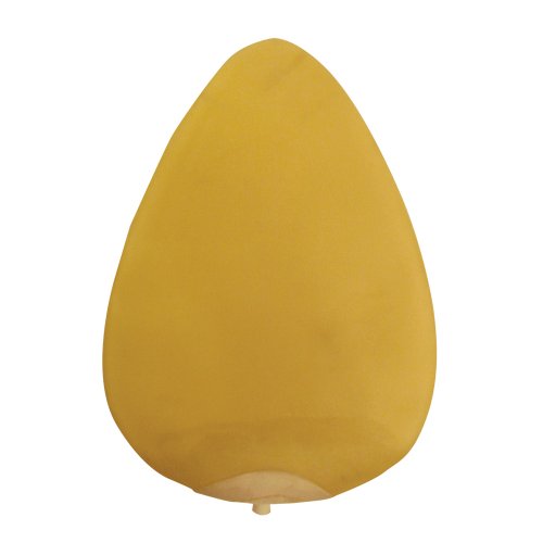 Ringside Latex Speed Bag Bladder - size: Small