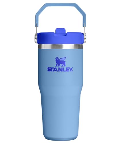 STANLEY IceFlow 2.0 Flip Straw Tumbler with Handle 14 oz | Twist On Lid and Flip Up Straw | Leakproof Water Bottle | Insulated Stainless Steel | BPA-Free | Blue Sky - color: Blue Sky, size: 14 Ounces