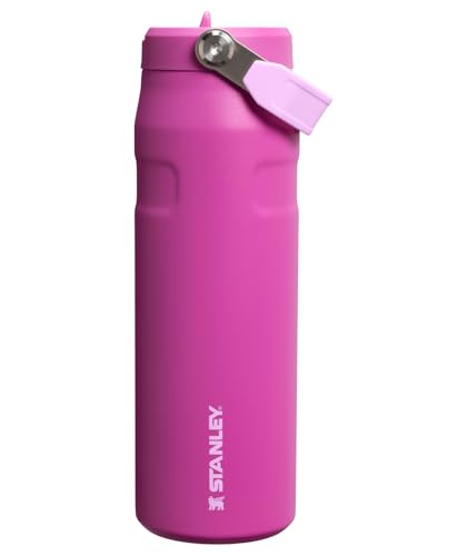 Stanley IceFlow Flip Straw 2.0 Water Bottle 24 OZ | Built-In Straw with Larger Opening | Lightweight & Leak-Resistant | Insulated Stainless Steel | BPA-Free | Dark Blossom - color: Dark Blossom, size: 24 Ounces