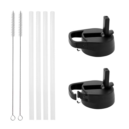 IRON °FLASK Carabiner Straw Lid for Wide Mouth Insulated Sports Water Bottles, Simple BPA Free, 2 Lids, 4 Straws, 2 Cleaning Brushes