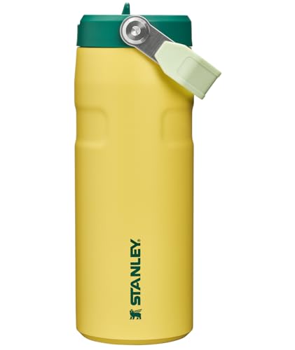 STANLEY IceFlow Flip Straw 2.0 Water Bottle 16 oz | Built-In Straw with Larger Opening | Lightweight and Leak Resistant | Insulated Stainless Steel | BPA-Free | Daffodil Emerald - color: Daffodil Emerald, size: 16 Ounces