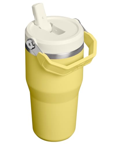 STANLEY IceFlow 2.0 Flip Straw Tumbler with Handle 20 oz | Twist On Lid and Flip Up Straw | Leakproof Water Bottle | Insulated Stainless Steel | BPA-Free | Daffodil - color: Daffodil, size: 20 Ounces