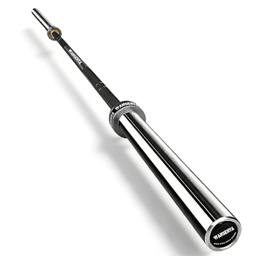 7FT Olympic Barbell 45lb,28MM 2 Inch Olympic Bar for No. 45 Steel,Olympic Weight Bars for Lifting,CrossFit,Bench Press,Deadlift,Squats,Strength Training bars - color: Black&Silver-500LBS