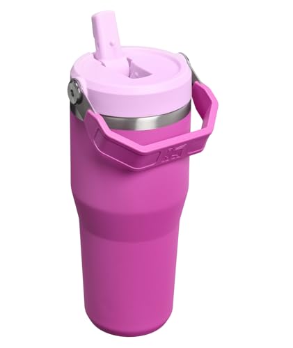STANLEY IceFlow 2.0 Flip Straw Tumbler with Handle 14 oz | Twist On Lid and Flip Up Straw | Leakproof Water Bottle | Insulated Stainless Steel | BPA-Free | Dark Blossom - color: Dark Blossom, size: 14 Ounces