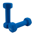 Saorzon Dumbbells Set of 2 Exercise Fitness Dumbbell for Home Gym Free Weights Hand Hex Dumb Bells - color: Royal Blue, style: 1 Pounds,Pair