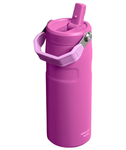 Stanley IceFlow Flip Straw 2.0 Water Bottle 16 OZ | Built-In Straw with Larger Opening | Lightweight & Leak-Resistant | Insulated Stainless Steel | BPA-Free | Dark Blossom - color: Dark Blossom, size: 16 Ounces