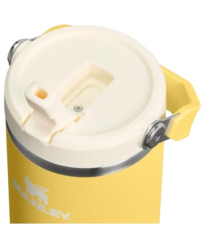 STANLEY IceFlow 2.0 Flip Straw Tumbler with Handle 30 oz | Twist On Lid and Flip Up Straw | Leakproof Water Bottle | Insulated Stainless Steel | BPA-Free | Daffodil - color: Daffodil, size: 30 Ounces