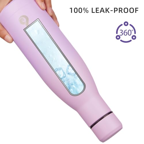 BJPKPK Insulated Water Bottle 17oz Stainless Steel Water Bottles Dishwasher Safe Reusable Metal Thermal Cold and Hot,Dreamy Purple - color: Dreamy Purple, size: 17 Ounces