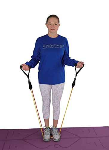 BodyForge Resistance Bands, Exercise Bands, Resistance Bands for Working Out, Work Out Bands with Handles for Men and Women Fitness, Strength Training Home Gym Equipment - size: 2 Pack