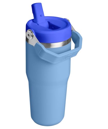 STANLEY IceFlow 2.0 Flip Straw Tumbler with Handle 14 oz | Twist On Lid and Flip Up Straw | Leakproof Water Bottle | Insulated Stainless Steel | BPA-Free | Blue Sky - color: Blue Sky, size: 14 Ounces