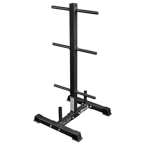 Valor Fitness Weight Plate Rack with Barbell Holders – Heavy-Duty Steel Storage Tree with 6 Pegs and 2 Vertical Bar Sleeves for Standard and Olympic Plates – 800 lb Capacity for Home & Garage Gyms - color: Black
