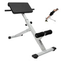 Roman Chair Back Extension Weight Bench Ab Machine Foldable Angle Height Adjustable Sit up Exercise Multi-Functional Workout Home Gym Exercise Equipment Inversion Table for Fitness - color: White