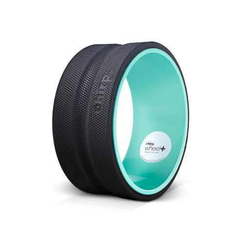 Chirp Wheel+ Foam Roller, Back & Neck Pain Relief, Mint 10-Inch - size: 10" - Medium