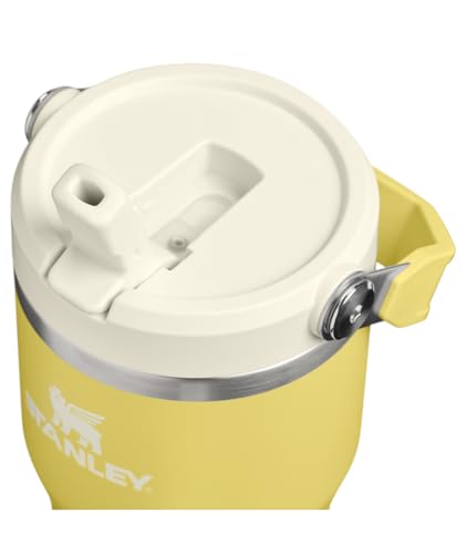 STANLEY IceFlow 2.0 Flip Straw Tumbler with Handle 20 oz | Twist On Lid and Flip Up Straw | Leakproof Water Bottle | Insulated Stainless Steel | BPA-Free | Daffodil - color: Daffodil, size: 20 Ounces