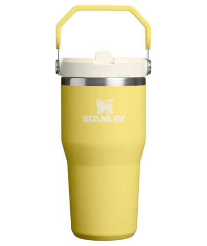 STANLEY IceFlow 2.0 Flip Straw Tumbler with Handle 20 oz | Twist On Lid and Flip Up Straw | Leakproof Water Bottle | Insulated Stainless Steel | BPA-Free | Daffodil - color: Daffodil, size: 20 Ounces