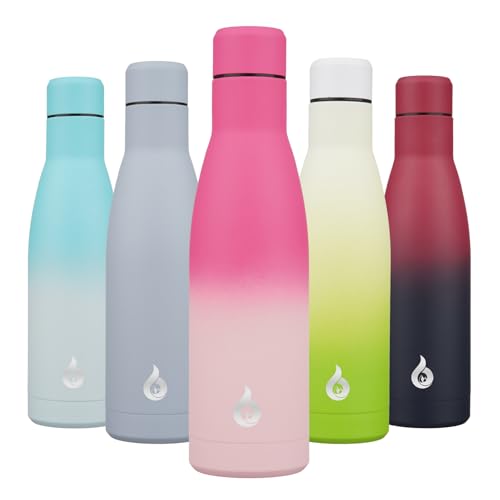 BJPKPK Insulated Water Bottle 17oz Stainless Steel Water Bottles Disawasher Safe Reusable Metal Thermal Keep Cold and Hot,Cherry - color: Cherry, size: 17 Ounces