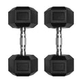 Ritfit 5-650 LBS PVC Encased Hex Dumbbell Sets with Optional Rack for Home Gym, Hand weight with Chrome Handle for Strength Training,Workouts - style: 2X30LBS