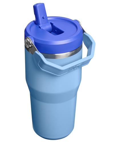 STANLEY IceFlow 2.0 Flip Straw Tumbler with Handle 20 oz | Twist On Lid and Flip Up Straw | Leakproof Water Bottle | Insulated Stainless Steel | BPA-Free | Blue Sky - color: Blue Sky, size: 20 Ounces
