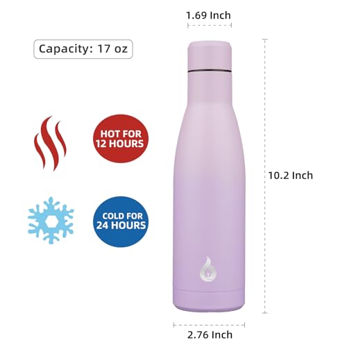 BJPKPK Insulated Water Bottle 17oz Stainless Steel Water Bottles Dishwasher Safe Reusable Metal Thermal Cold and Hot,Dreamy Purple - color: Dreamy Purple, size: 17 Ounces