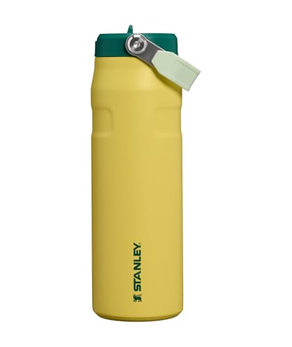STANLEY IceFlow Flip Straw 2.0 Water Bottle 24 oz | Built-In Straw with Larger Opening | Lightweight and Leak Resistant | Insulated Stainless Steel | BPA-Free | Daffodil Emerald - color: Daffodil Emerald, size: 24 Ounces